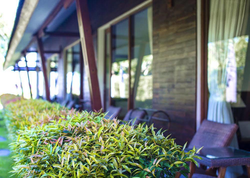 Big Brother Surf Inn Canggu Exterior foto